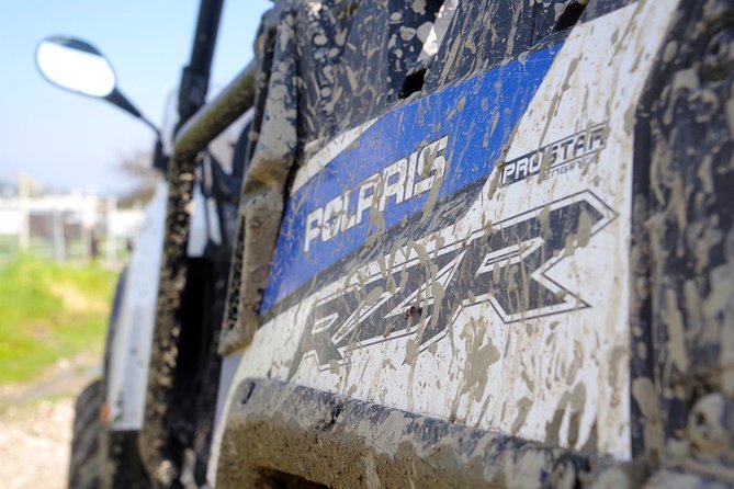 4x4 Buggy Adventures - Off-road Polaris Experience - The local farm stop with honey and donkeys