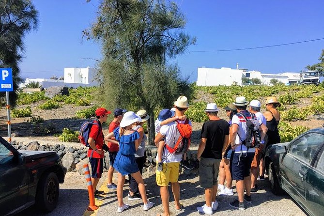 6-Hour Private Best of Santorini Experience - Akrotiri Archaeological Site: Santorini’s Ancient Side