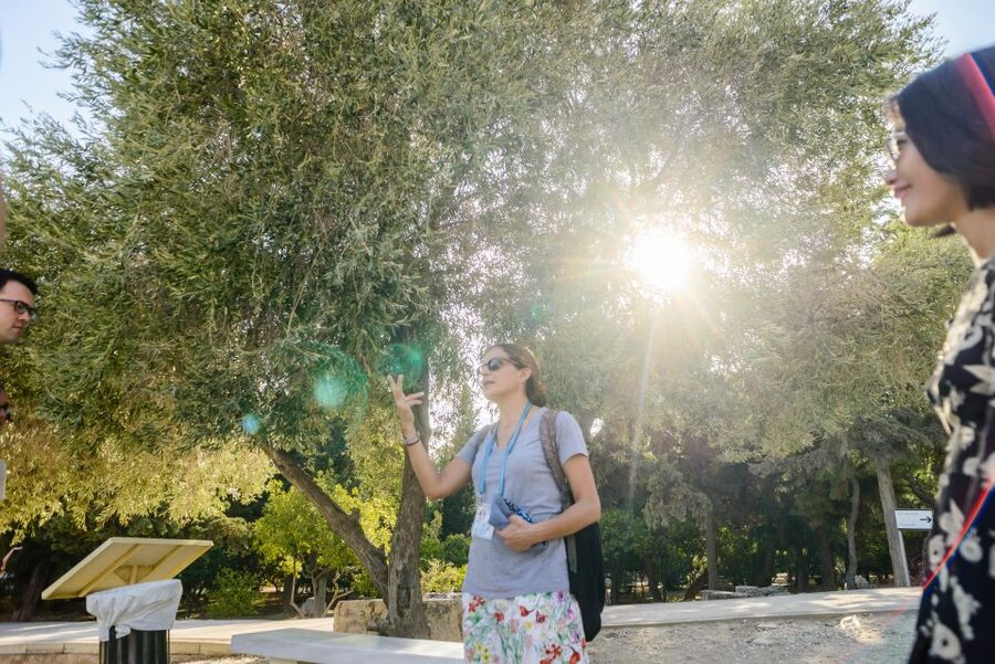 Acropolis: Acropolis and Parthenon Guided Walking Tour - What this Acropolis tour actually covers