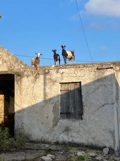 Agia Pelagia: Sunset or Morning Quad Tour & Ghost Town Visit - Achlada’s ghost village and abandoned cottages
