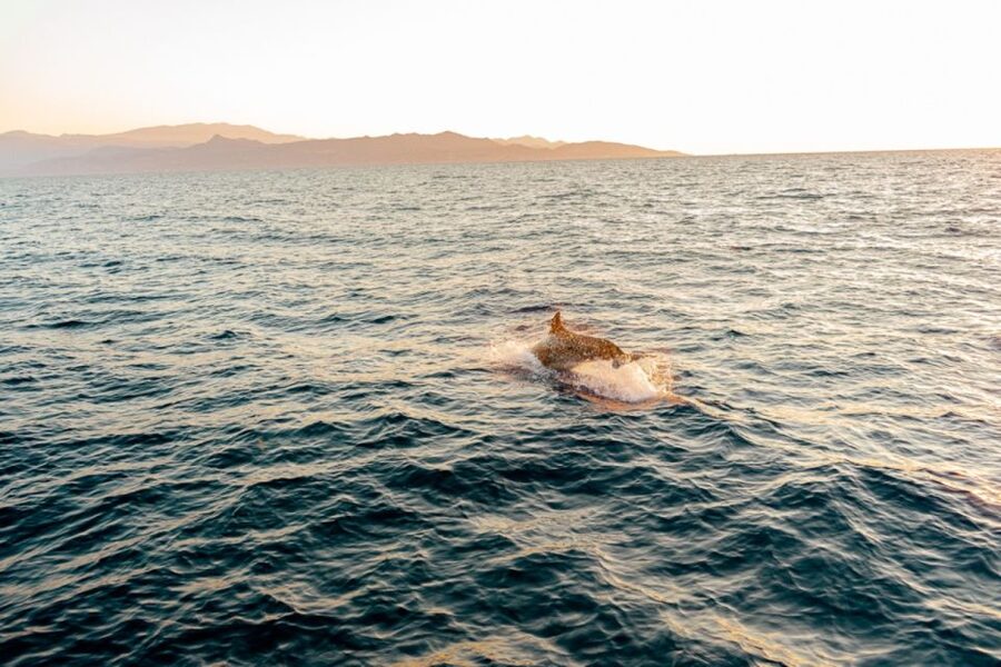 Agios Nikolaos: Mirabello Bay Sailing Cruise with Meal - How the duration affects your day