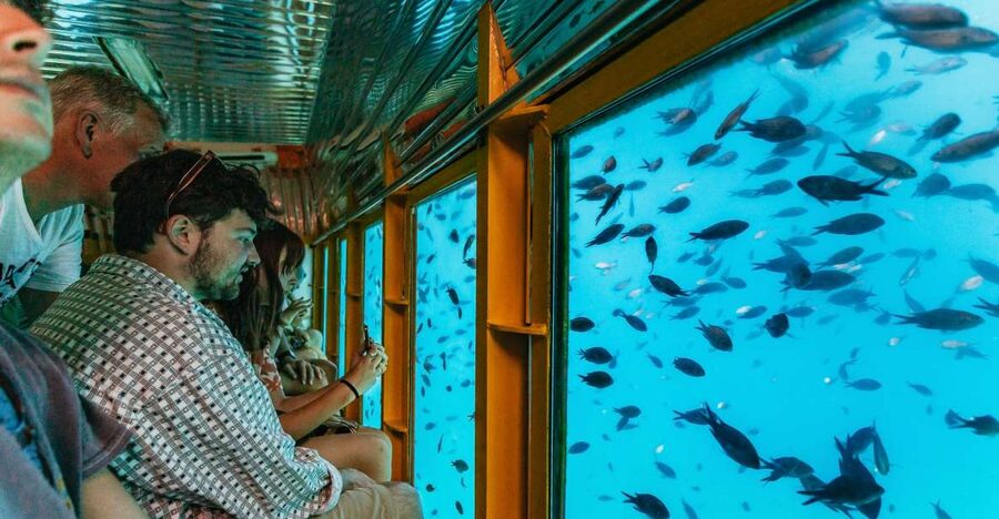 Agios Nikolaos: Semi-Submarine Cruise - Watching fish below the boat