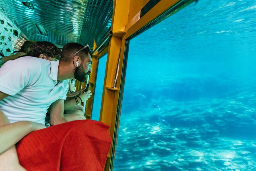 Agios Nikolaos: Semi-Submarine Cruise - Who will enjoy this cruise most