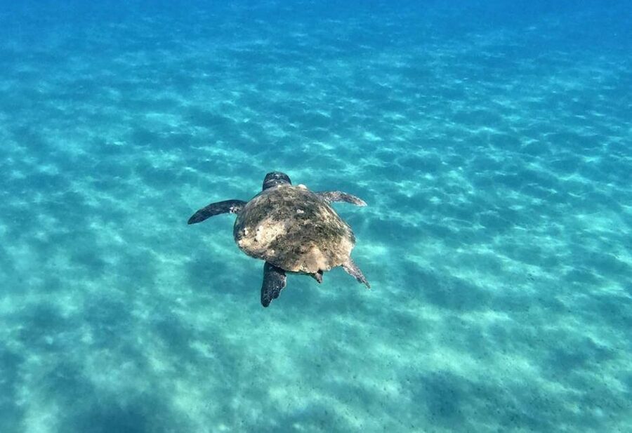 Agios Sostis: Marathonissi, Keri Caves, and Turtle Spotting - Is $29 a good price for three hours?