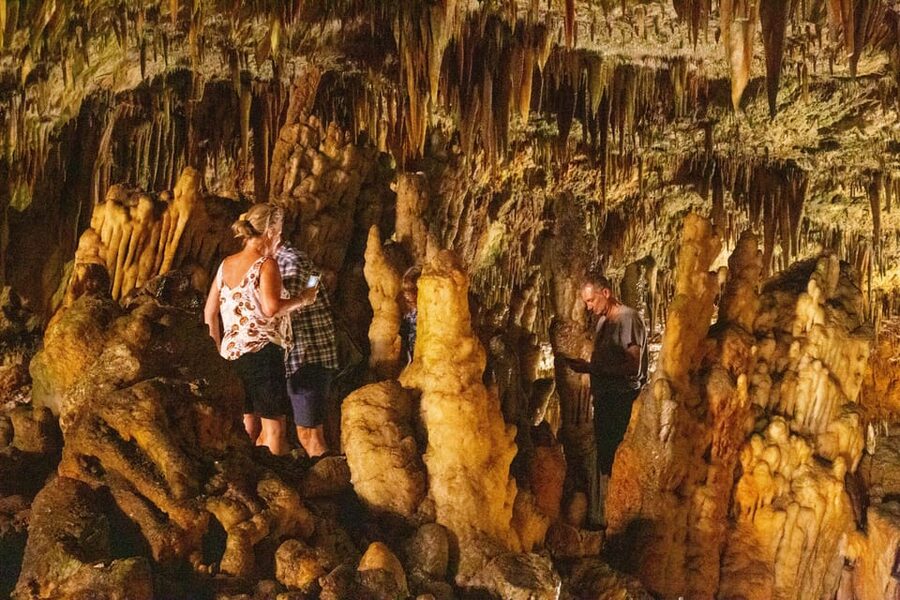 Argostoli: Melissani & Drogarati Cave Tour with Wine Tasting - Who should book it?