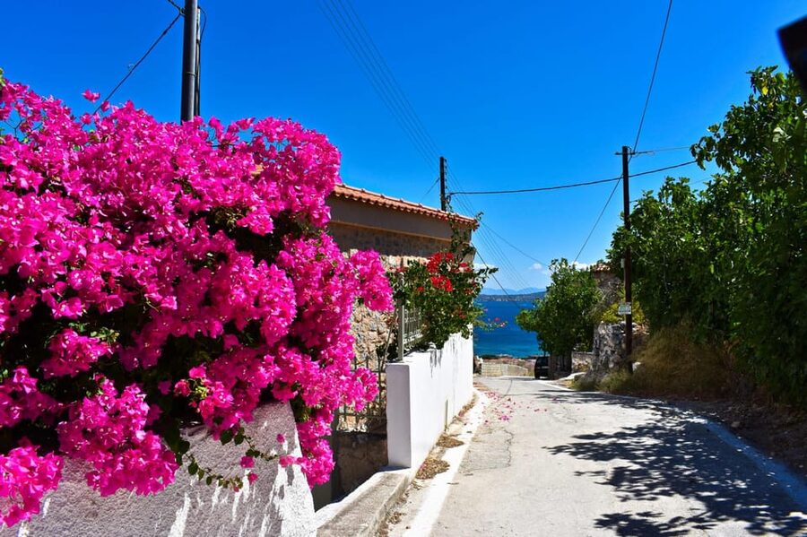 Athens: Agistri, Metopi & Aegina Cruise with Meals & Drinks - Key Things to Know Before You Book