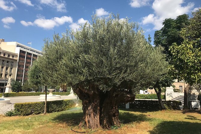 Athens by E-Bike: Monuments, Food & Transfers (Cruise Tour) - Hadrian’s Arch and the Temple of Olympian Zeus