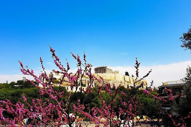 Athens city private tour - Panathenaic Stadium and the modern Olympic link