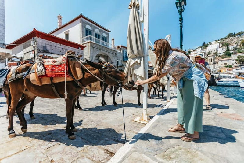 Athens Day Cruise – Since 1965 | Visit Hydra, Poros & Aegina - Hydra: cobblestones, donkeys, and limited time
