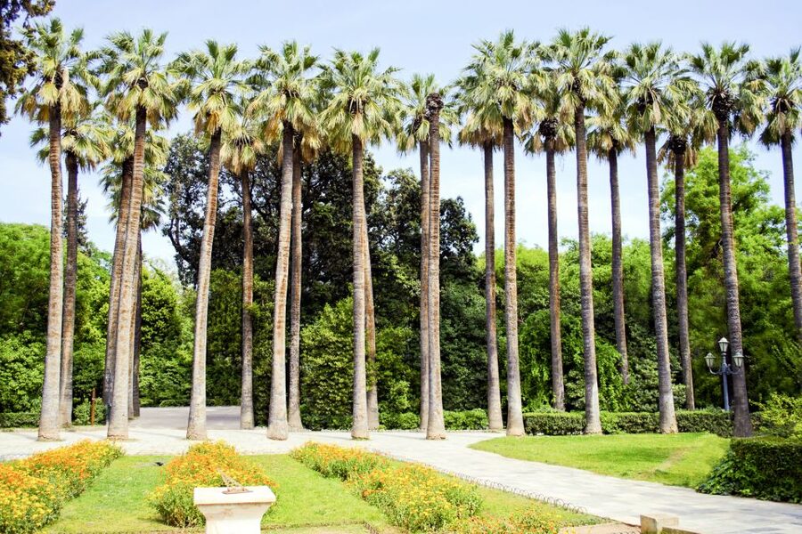 Athens Instagram Tour: The Most Scenic Spots - Evzones at the Hellenic Parliament
