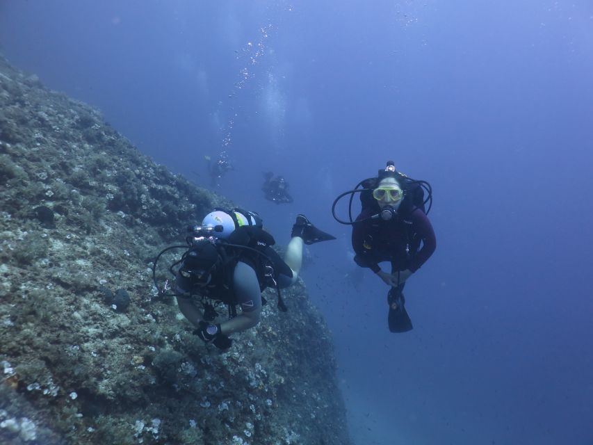 Athens: Private Discover Scuba Diving for Beginners - Key points to know before booking