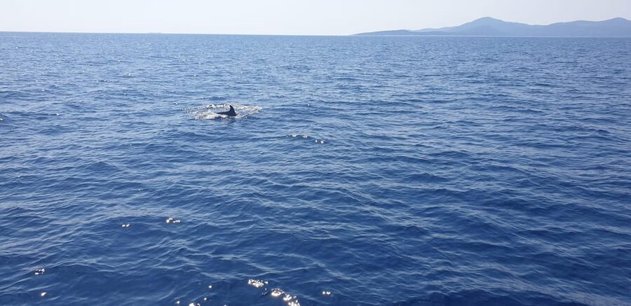 Athens: Riviera Catamaran Tour with Fresh Meal and Drinks - Asteras Bay near Vouliagmeni: the easy first swim