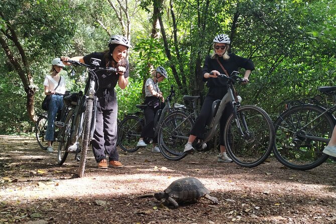 Athens Small Group Electric Bike Tour - The National Observatory viewpoint