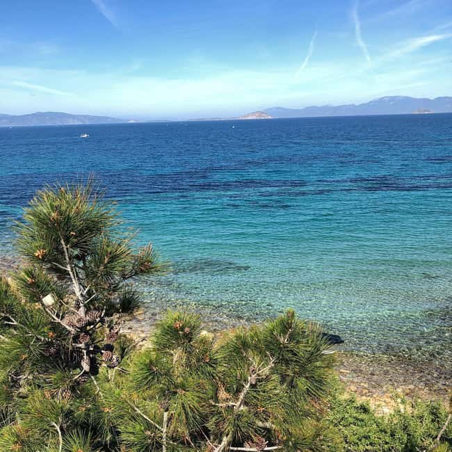 Athens to Aegina: Greek Island Escape & Swim Day Trip - How the guides shape the day