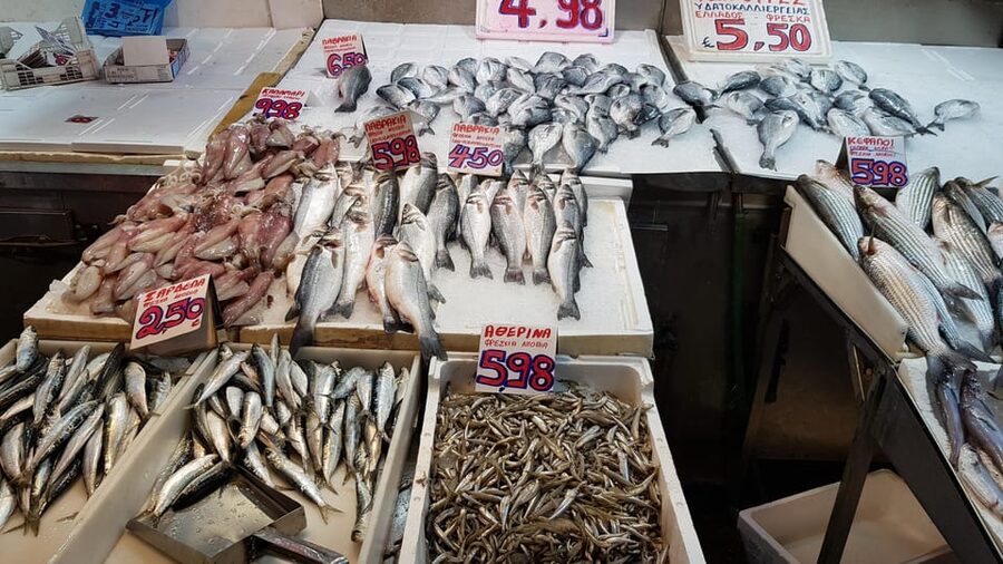 Athens: Traditional Greek food tour in hidden spots - Dietary needs, walking effort, and timing