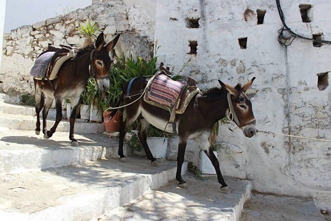 Best Rhodes Tour with Wine Tasting Experience from Cruise Port - Kalathos pottery and a taste of island-made goods