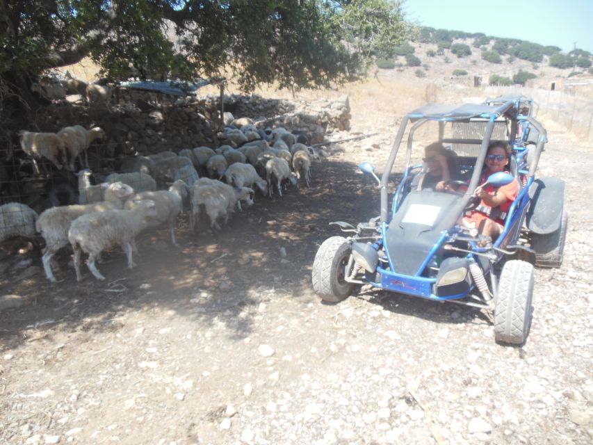Buggy safari Crete (Transfer and lunch) analipsi- hersonisos - Milatos Cave and the memorial