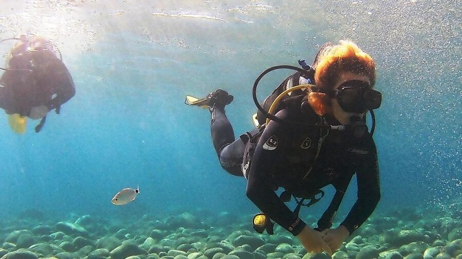 Chalkidiki: Scuba Diving for Beginners in Kassandra - Key Points at a Glance