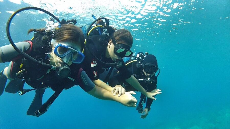 Chalkidiki: Scuba Diving for Beginners in Kassandra - The $92 Price: Is It Good Value?