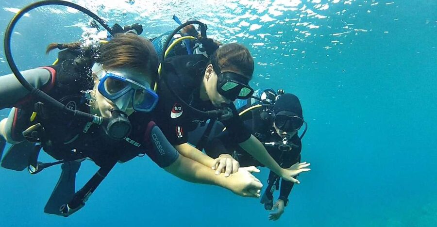 Chalkidiki: Scuba Diving for Beginners in Kassandra - Starting With Safety on the Kassandra Peninsula