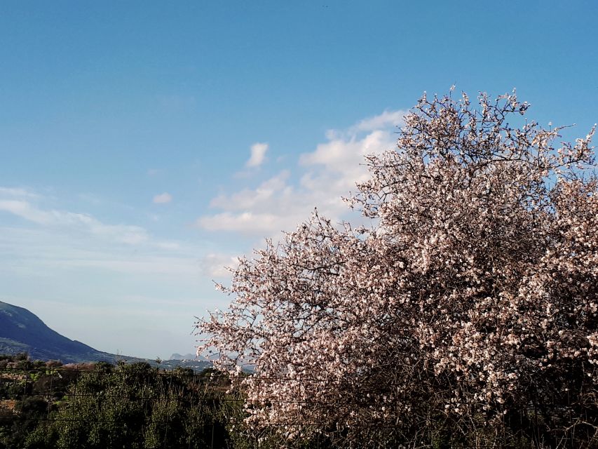 Chania: 7 Villages of Apokoronas Tour with Lunch - Cheese, honey, and the value of small producers