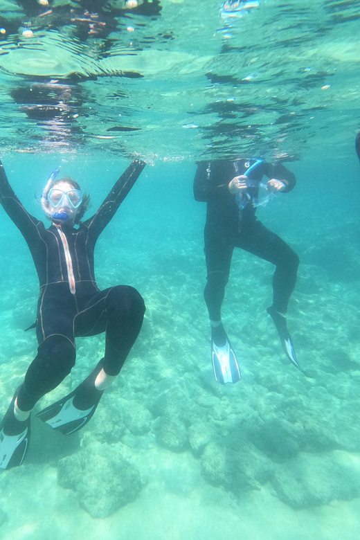Chania: Boat Trip with Guided Snorkeling Tour - What the underwater experience is really like