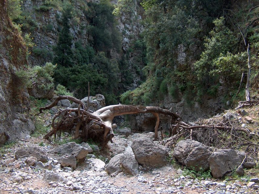 Chania: Imbros Gorge and Libyan Sea Day Tour - Swimming in the Libyan Sea