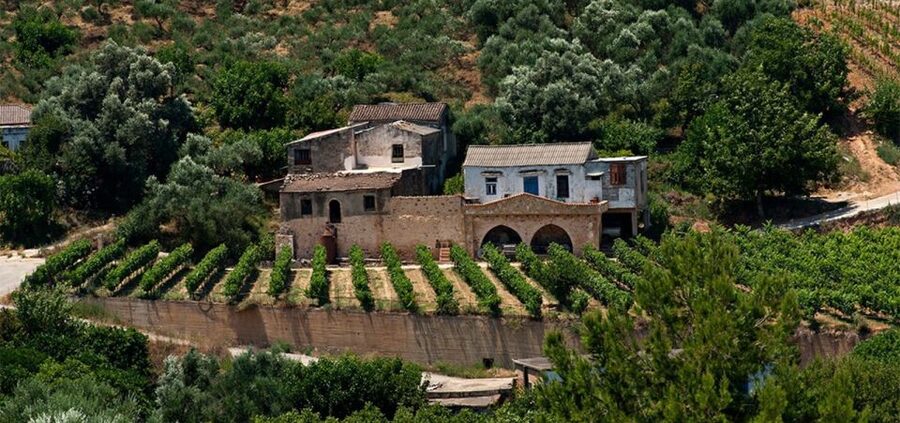 Chania: Milia Mountain Tour w/Lunch Olive Oil/Wine Tastings - What the $176 price really covers