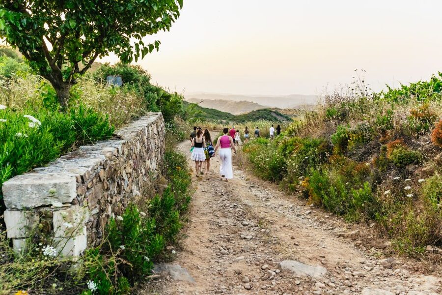 Chania: Off-Road Tour at Sunset - Meze, wine, and the final meal