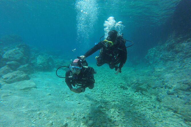 Chania: Scuba Diving for Beginners - A gentle first look beneath the Aegean