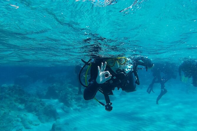 Chania: Scuba Diving for Beginners - The 25-minute lesson that makes the difference