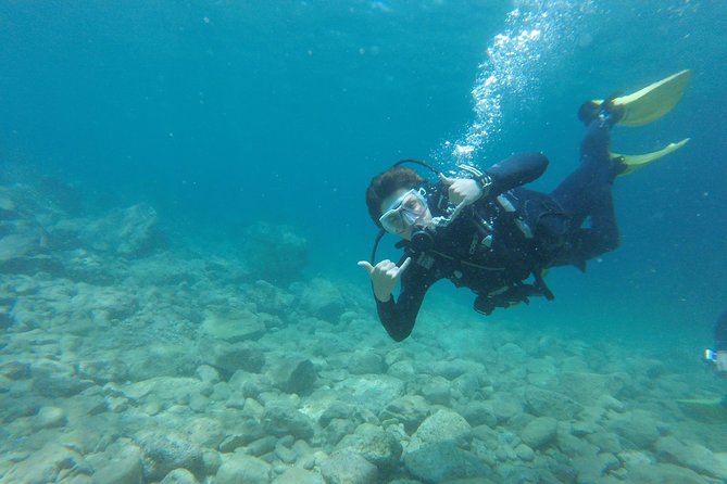 Chania: Scuba Diving for Beginners - Is $112 a fair price?