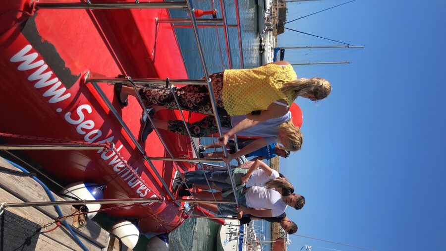 Chania: Semi-Submarine Boat Underwater Experience - Fish, bottom feeders, and the chance of a loggerhead turtle