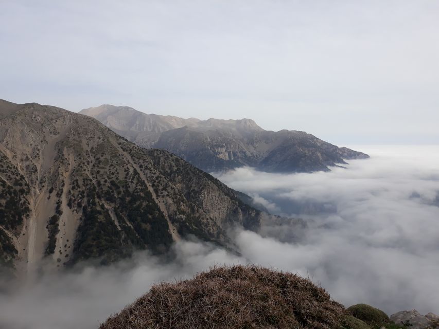 Chania: White Mountains Safari Tour with Lunch and Tastings - From Chania’s coast to Crete’s mountain roads