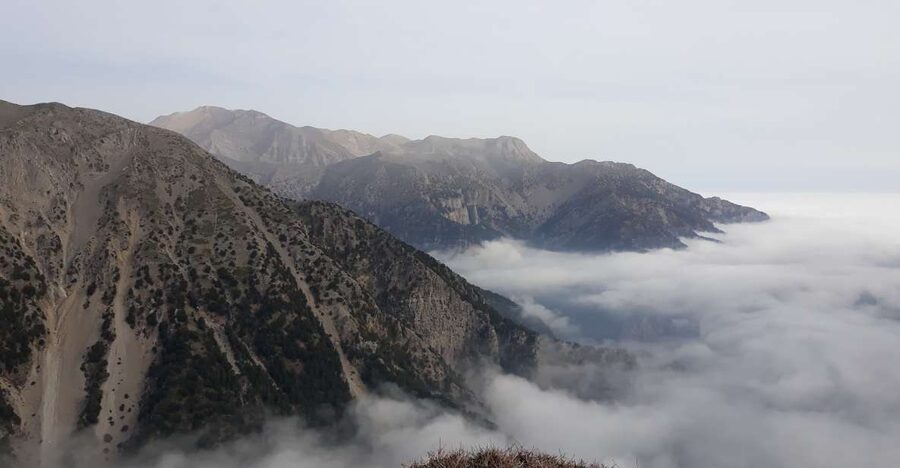 Chania: White Mountains Safari Tour with Lunch and Tastings - Anoskeli’s wine and olive oil tasting
