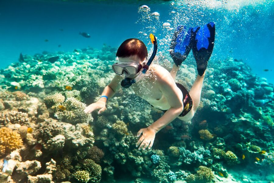 Corfu: Day Cruise to the Blue Lagoon with Visit to Syvota - Bella Vraka Beach, a second chance to swim