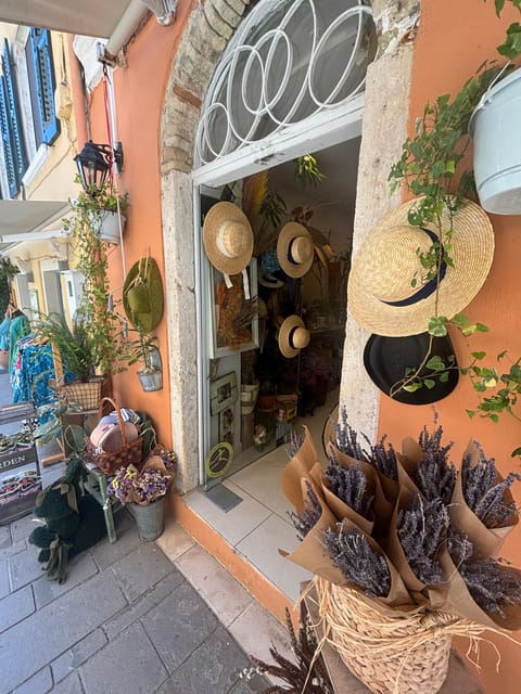Corfu: Dog Sightseeing Tour - Key points to know before you book