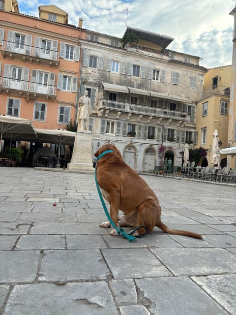 Corfu: Dog Sightseeing Tour - Walking Corfu’s Old Town with a canine guide