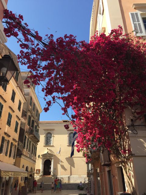 Corfu: History and Culture Walking Tour - Key points to know before you book