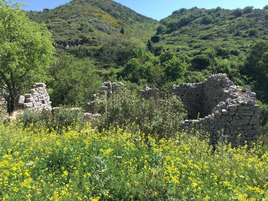 Corfu: Northwest Coast and Village Charms 4x4 Tour - Key points at a glance
