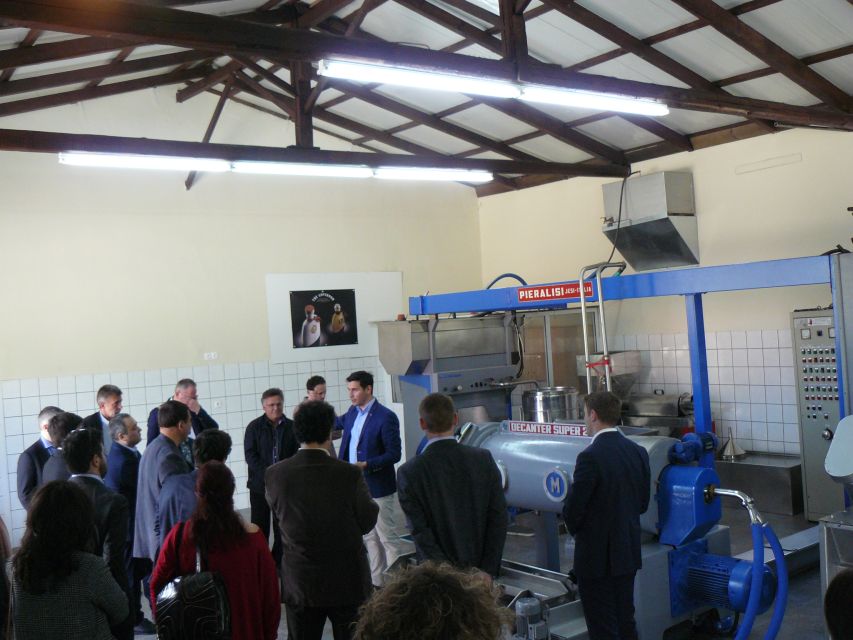 Corfu: Olive Oil Experience - The Governor's Olive Mill - The old mill and Corfu’s olive-growing past