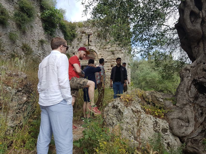 Corfu: Olive Oil Experience - The Governor's Olive Mill - Walking through the old olive groves