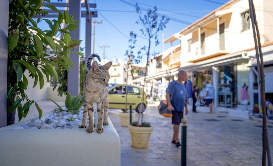 Corfu: Shore & Shared Tour – Kassiopi & Canal d’Amour - Pay extra for the boat, or keep your money?