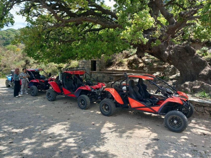 Crete buggy safari - Lunch at Liofito Taverna in Sisi