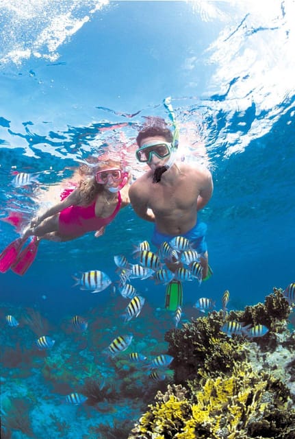 Crete: Coastline Snorkeling Cruise from Hersonissos Port - The 45-minute stop at Saint George Beach