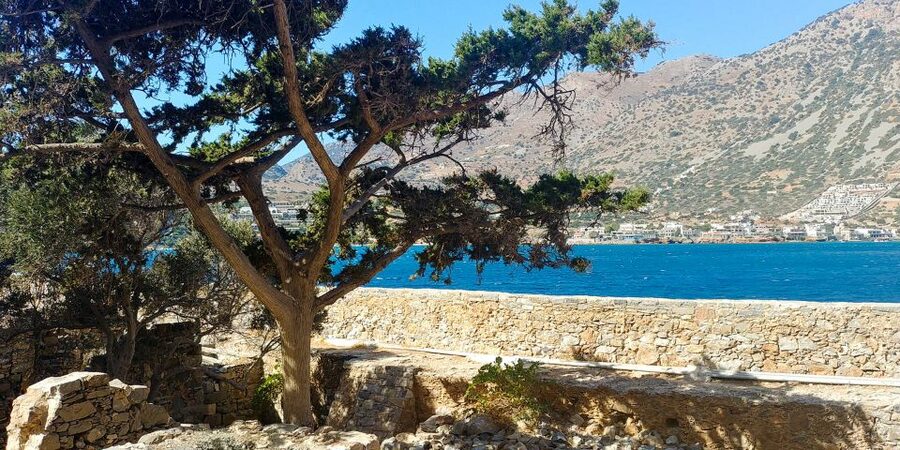 Crete: Day Trip to Agios Nikolaos and Spinalonga Island - Who should book this tour?