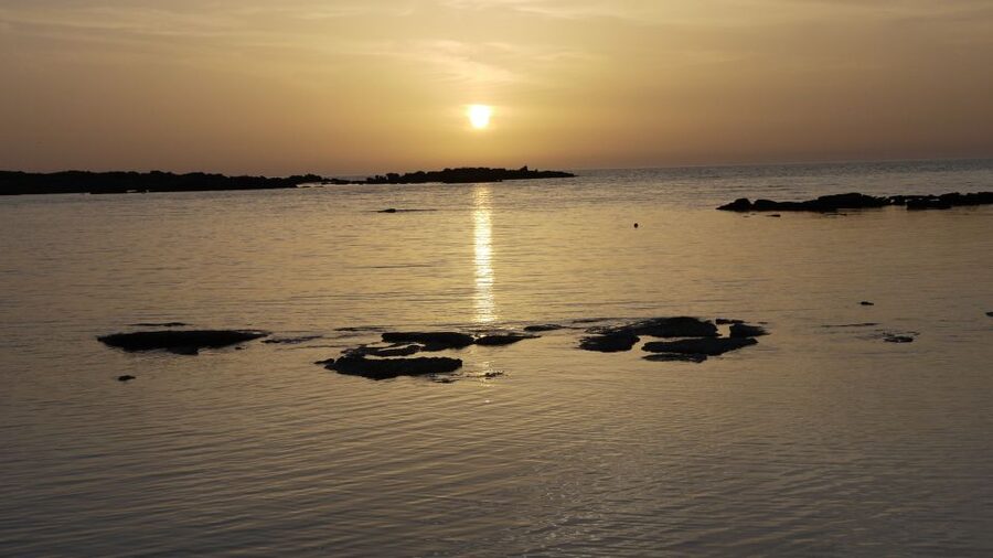 Crete: Elafonisi Pink Beach Excursion - Key points to know before booking