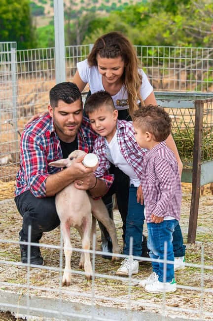 Crete: Farm Visit with Cheese Tasting and Milking Experience - Key things to know before visiting
