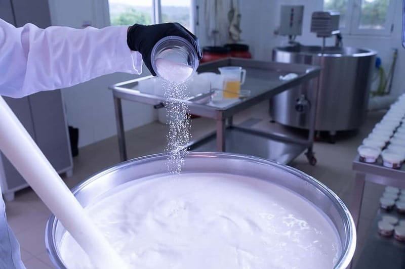 Crete: Farm Visit with Cheese Tasting and Milking Experience - Making traditional Cretan cheese