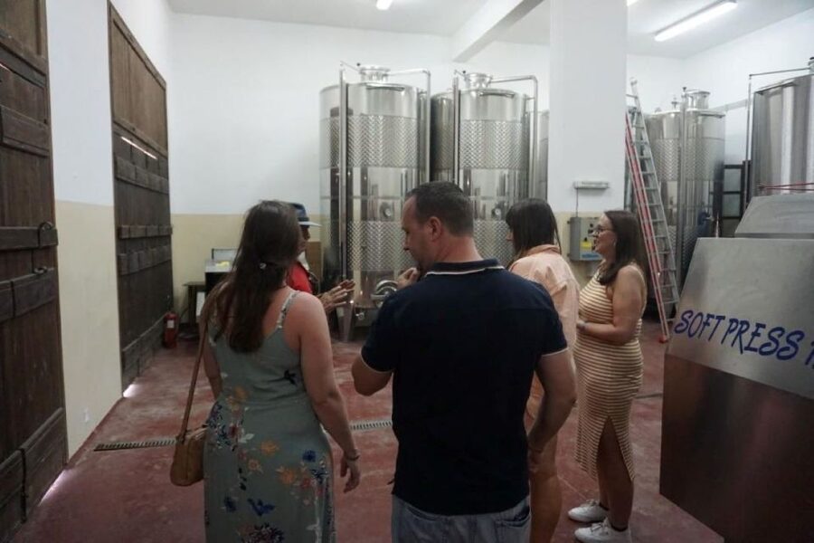 Crete: Full-Day Cretan Wines, Olive Oil, Raki and Food Tour - Who should book this Cretan food tour?